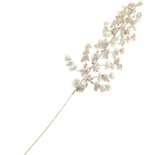 Pine branch with berries