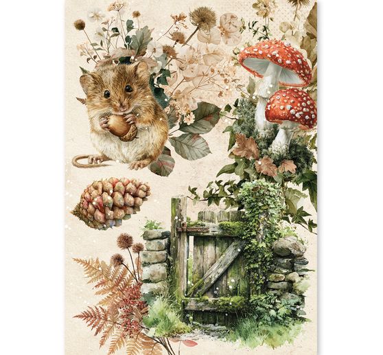 Ciao Bella motif straw silk assortment "The Nature Journal", set of 8