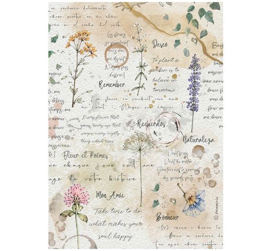 Motiv r&yacute;žov&yacute; pap&iacute;r sada Stamperia "Flowers and Poems", DIN A4, 6 kusů