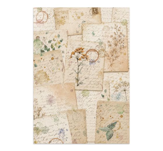 A5 Junk Journal Focus Points Stamperia "Flowers and Poems"