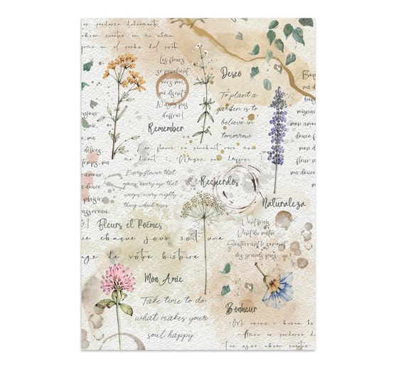 A5 Junk Journal Focus Points Stamperia "Flowers and Poems"