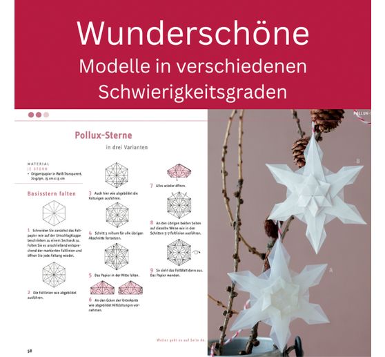 Book "Zarte Origamisterne (kreativ.kompakt.)"