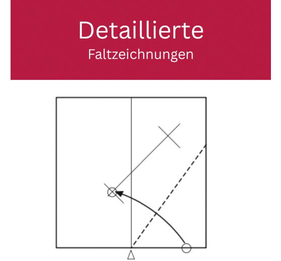 Book "Zarte Origamisterne (kreativ.kompakt.)"