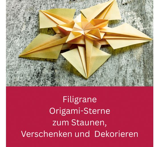 Book "Zarte Origamisterne (kreativ.kompakt.)"