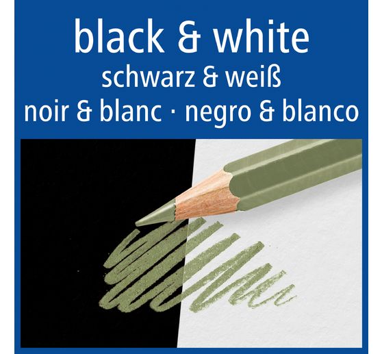 STAEDTLER Coloured pencils "Metallic", 12 colours