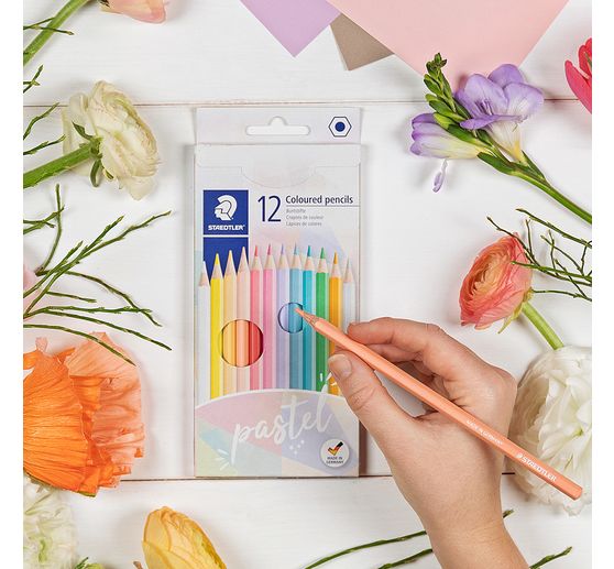 STAEDTLER Coloured pencils "Pastel", 12 colours