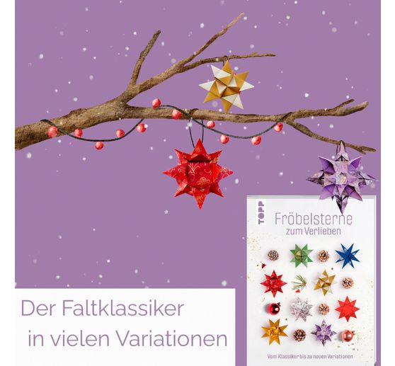 Book "Fr&ouml;belsterne zum Verlieben"