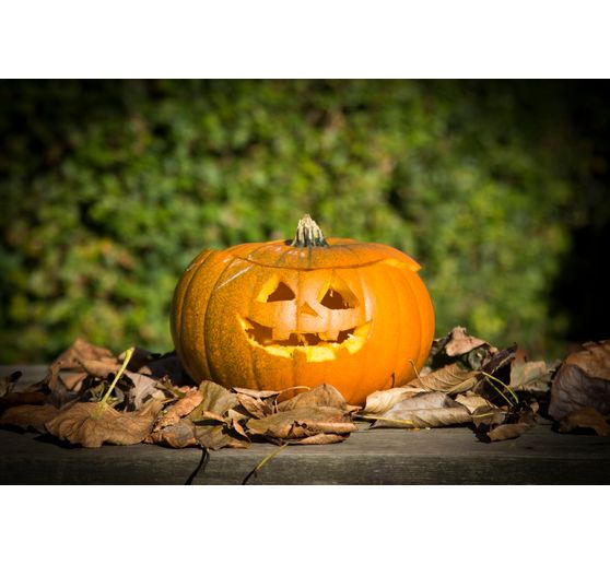 Pumpkin Carving set, 5 pcs.