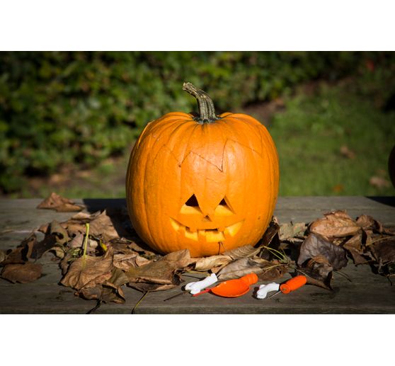 Pumpkin Carving set, 5 pcs.