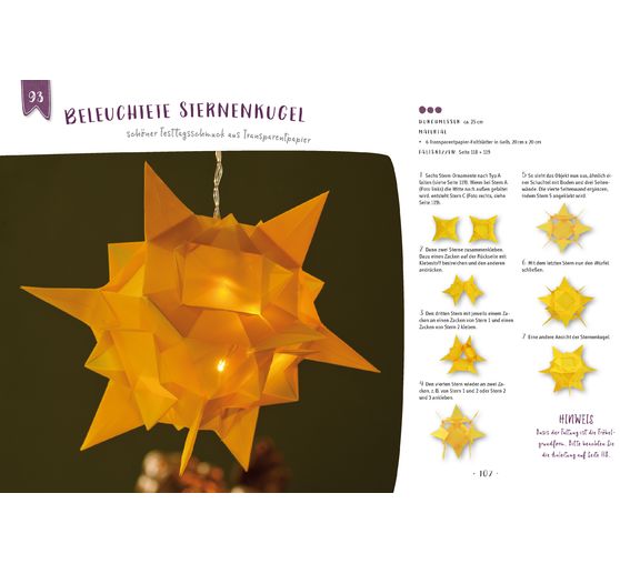 Book "100 x Fröbelsterne"