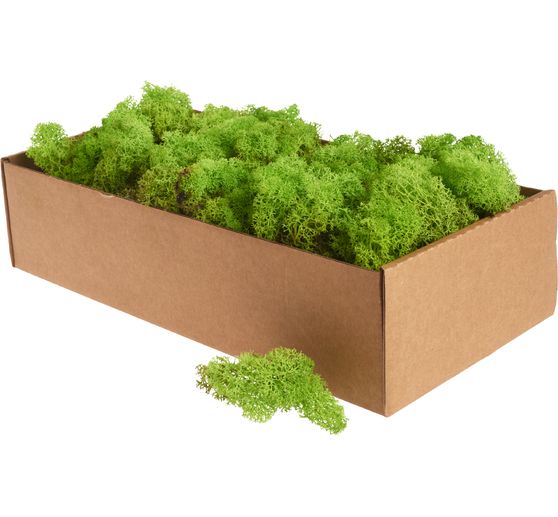 Iceland moss, 400 g