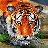 Diamond Painting "Crystal Art Card" Tiger