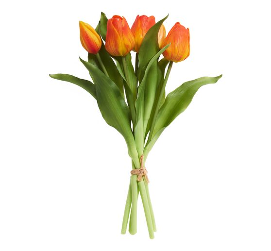 Tulips bunch with 3 flowers and 2 buds
