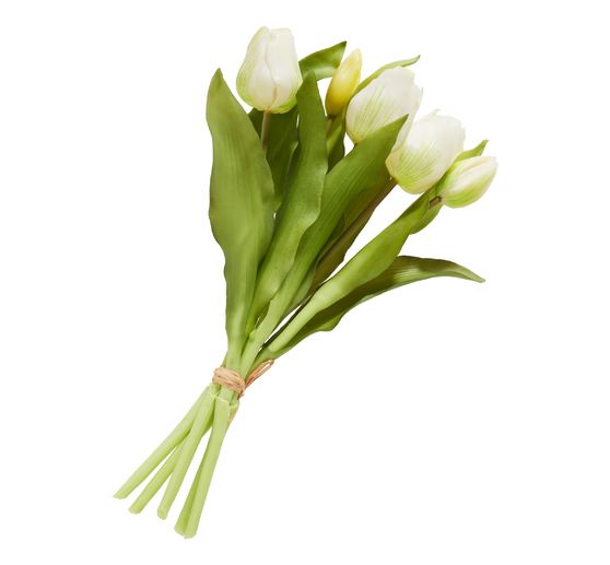 Tulips bunch with 3 flowers and 2 buds