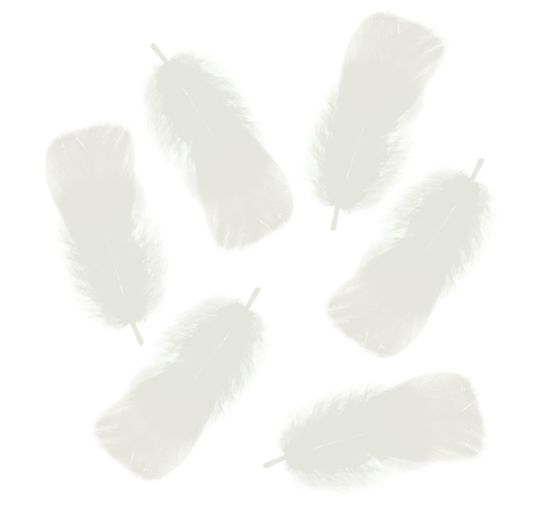Fluffy feathers, 100 g