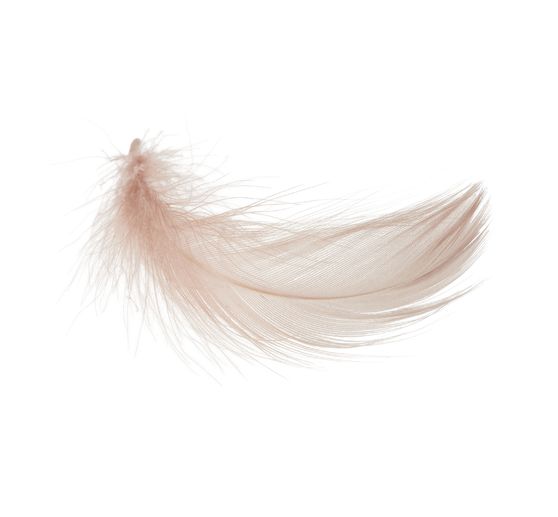 Goose feathers