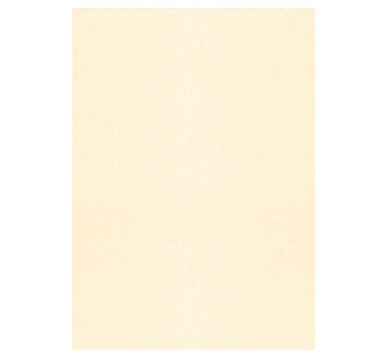 Digitální "Starlight"