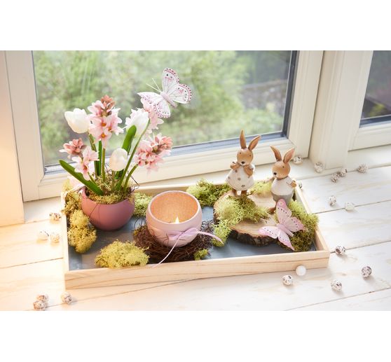 Islandský mech VBS, 100 g