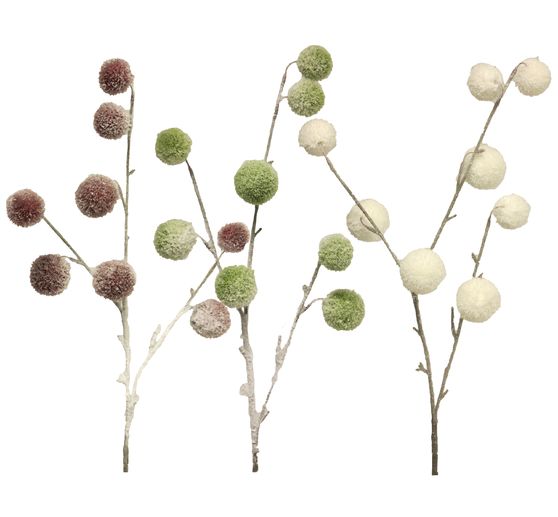 Pompon twig, snow-covered