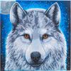 Diamond Painting "Crystal Art Kit", 30 x 30 cm Moonlight