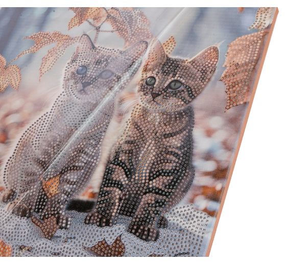 Diamond Painting "Crystal Art Kit", 30 x 30 cm