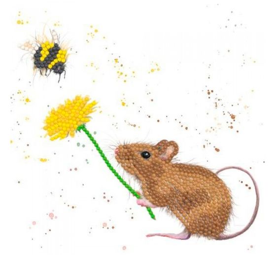 Sada maxi karet "Diamonds