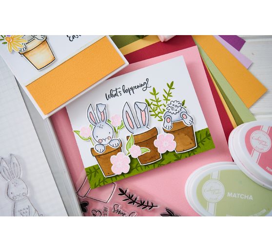 Výseková šablona Sizzix Thinlits od Catherine Pooler