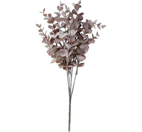 Boxwood branch "Evergreen"