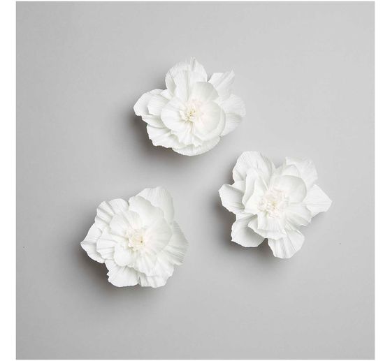 Crêpe paper flowers