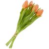 Tulips bunch with 3 flowers and 2 buds Salmon