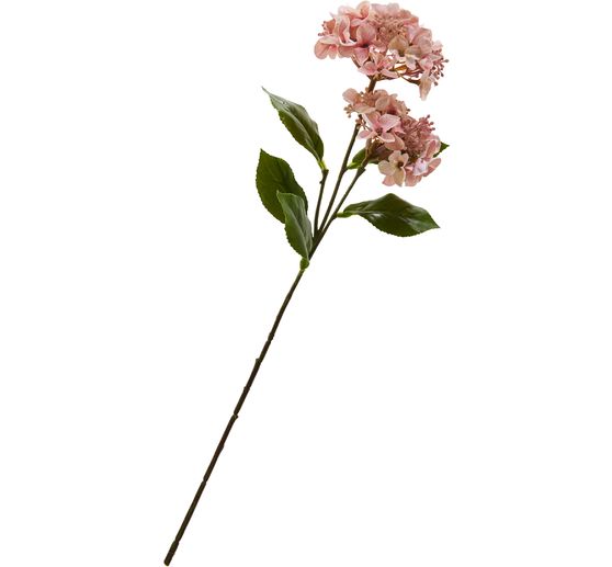 Hortenzie se dvěma květy