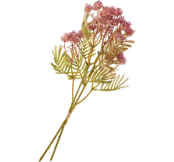 Větev květenstv&iacute;