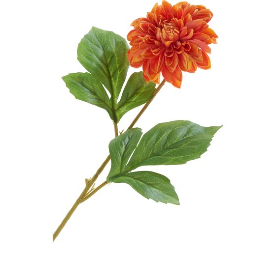 Jiřina "George Spray"