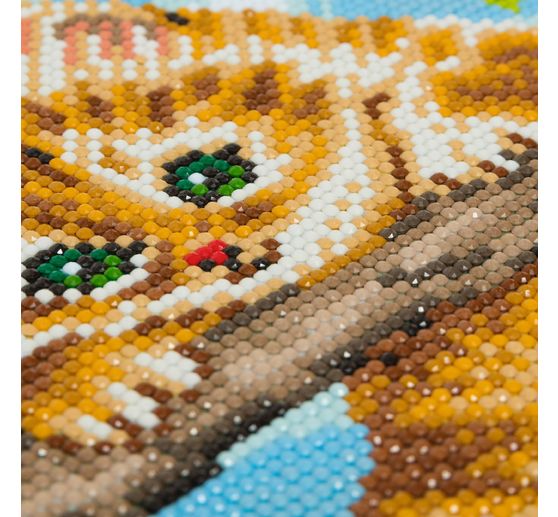 Diamantov&aacute; malba "Crystal Art Kit", 30 x 30 cm
