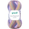 Gr&uuml;ndl Wool "Lisa Premium color" Barva 20