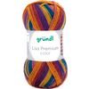 Gr&uuml;ndl Wool "Lisa Premium color" Barva 29