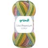Gr&uuml;ndl Wool "Lisa Premium color" Barva 23