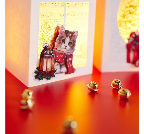 Sada vystřihovac&iacute; arch 3D "Furry Christmas"