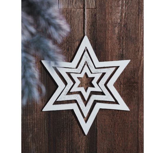 VBS Malířská houba, 3 kusy