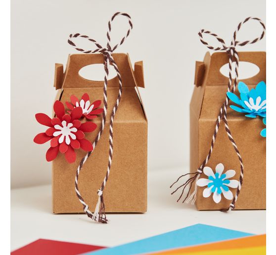 VBS Cotton cord, 100 m