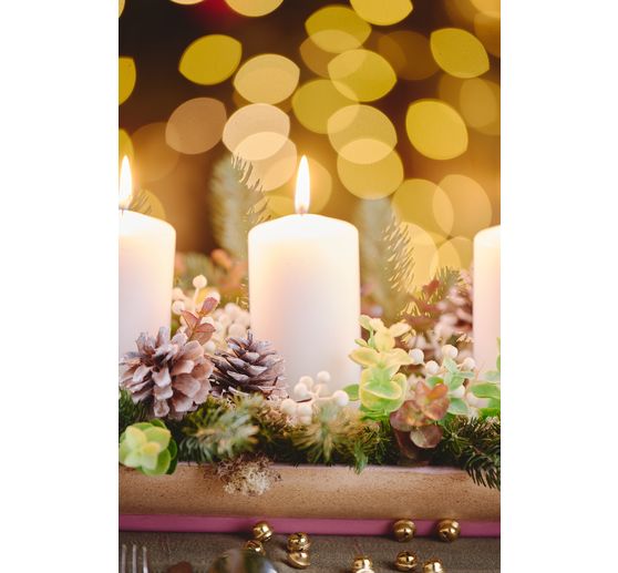 VBS Eukalyptus "Bendigo"