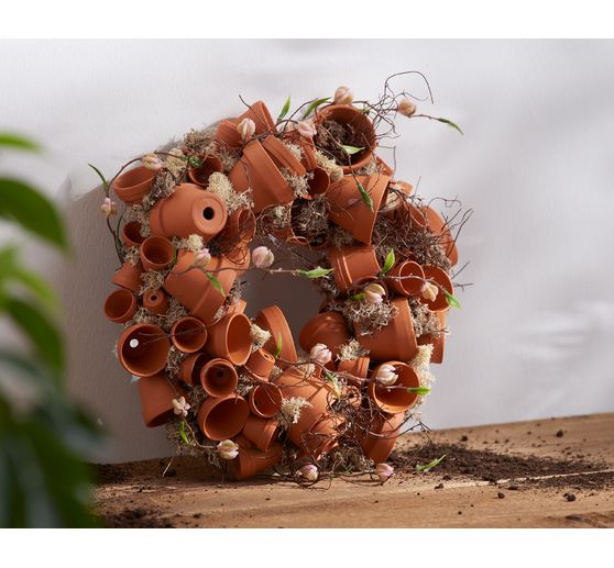 Islandský mech VBS, 100 g