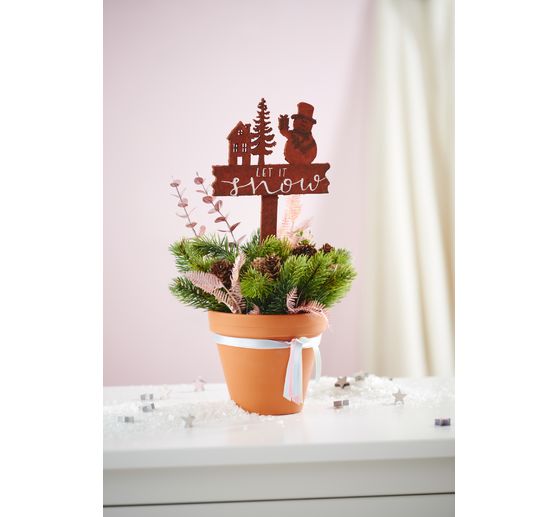 Ušlechtilý jedlový trs "Tessy" se šiškou