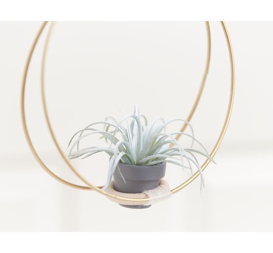 Terakotové květináče