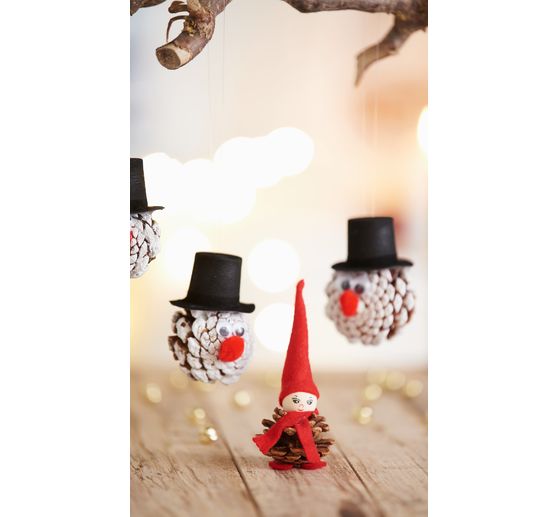 VBS Fir cones, 250 g