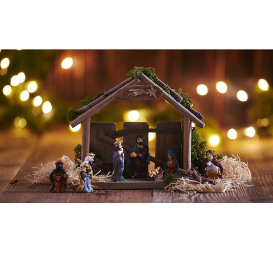 Islandský mech VBS, 100 g