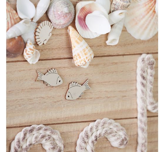 Sea shell mix "Nature"