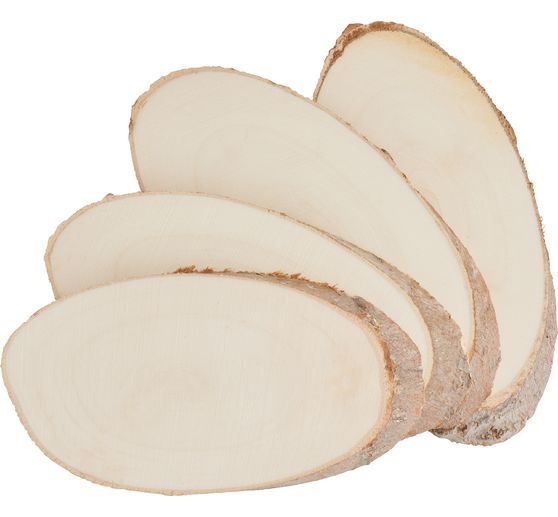Kůrov&eacute; disky VBS "Oval"