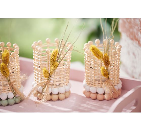 Dried flowers "Phalaris" 