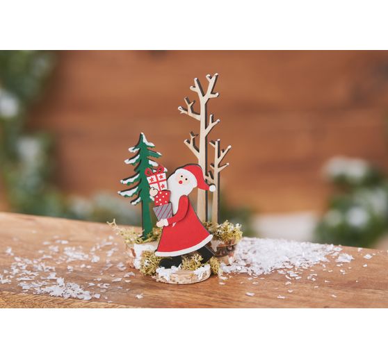 Islandský mech VBS, 100 g